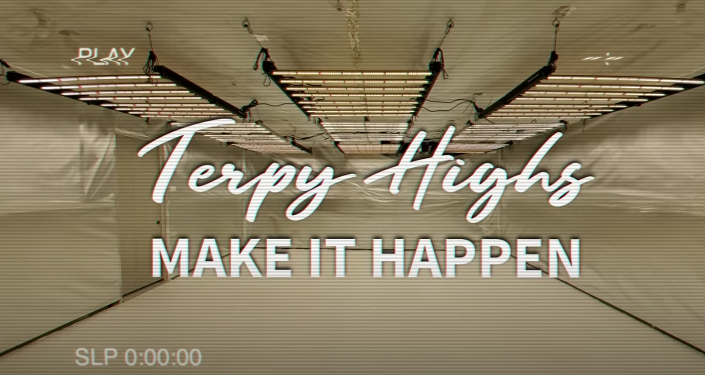 A Journey Through the Cannabis Grow Room: From Clone to Harvest